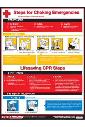 0016P – Choke Saving Poster